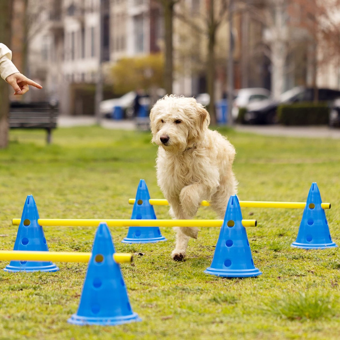 Navaris Hundetraining Hürden Set